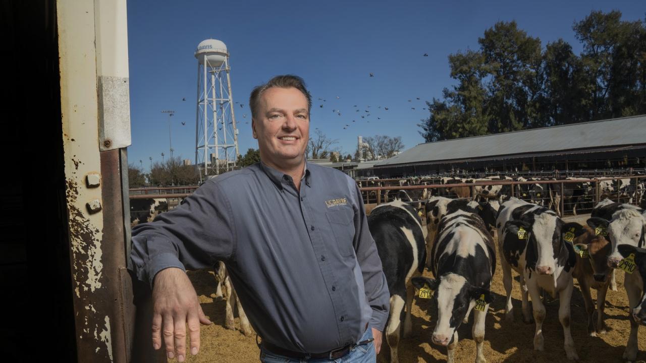 Dr. Frank Mitloehner, UC Davis Image: Dr. Frank Mitloehner stands in front of a herd of cattle at UC Davis.