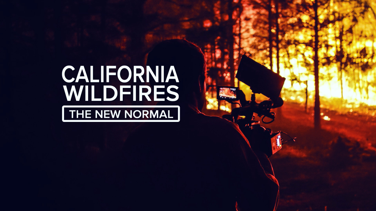 ABC10's new series, The New Normal Image: promo image for ABC10's new series, The New Normal depicting a dark foreground with trees lit up by flames in the background and a camera person capturing the scene on film.