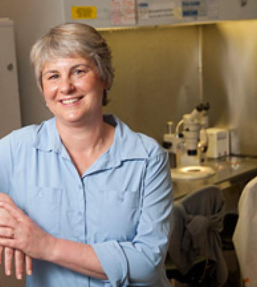 Photo of Pamela J Lein