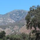 Image: a photograph of Junipero Serra Peak during daytime with blue sky.